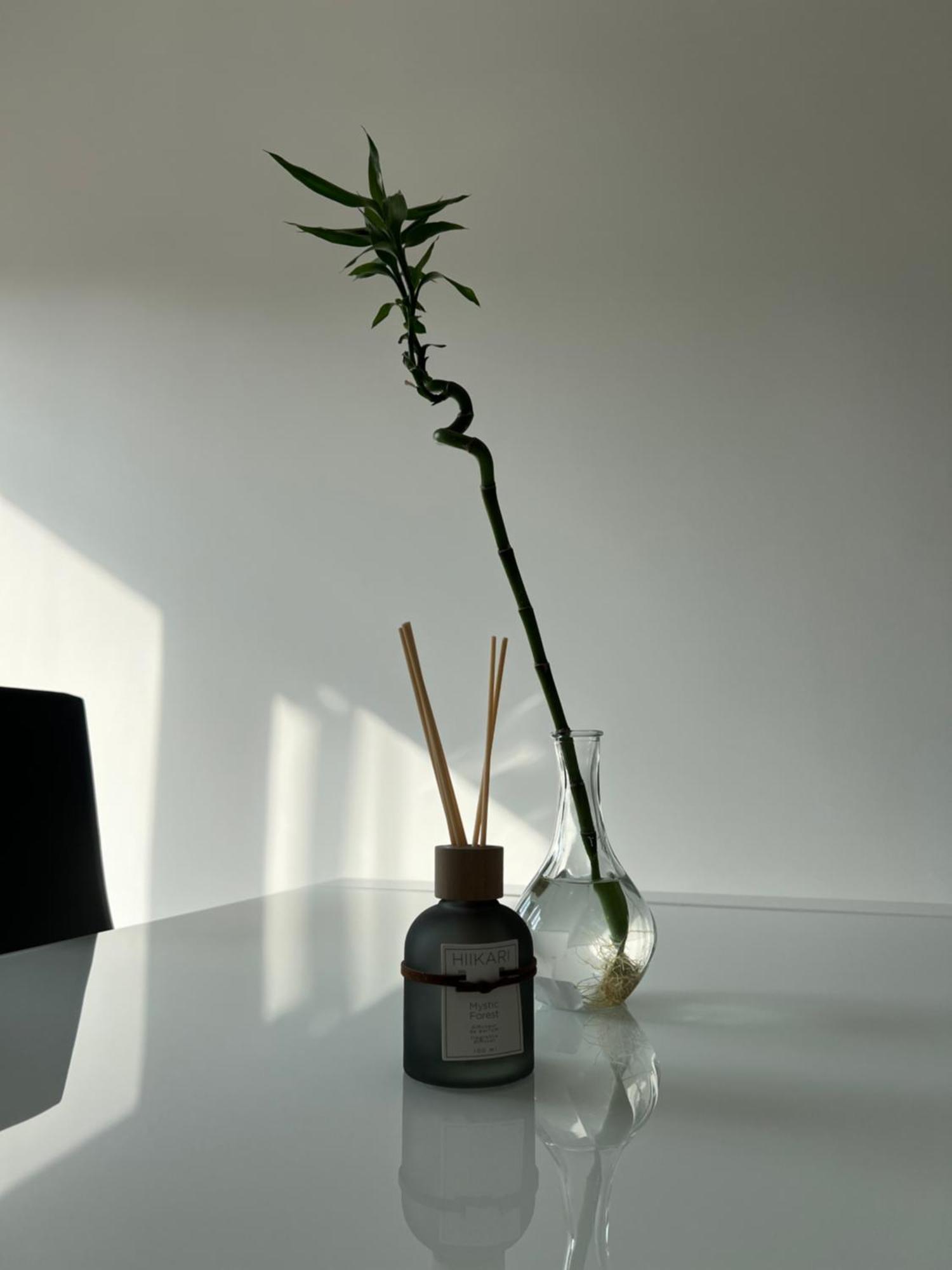 Baru'S Home Sanremo Eksteriør billede